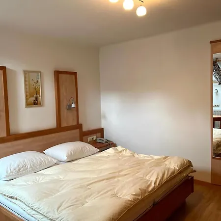 게스트하우스 Haus Riedlsperger