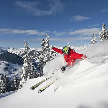 Casa de hóspedes Haus Riedlsperger 3*
