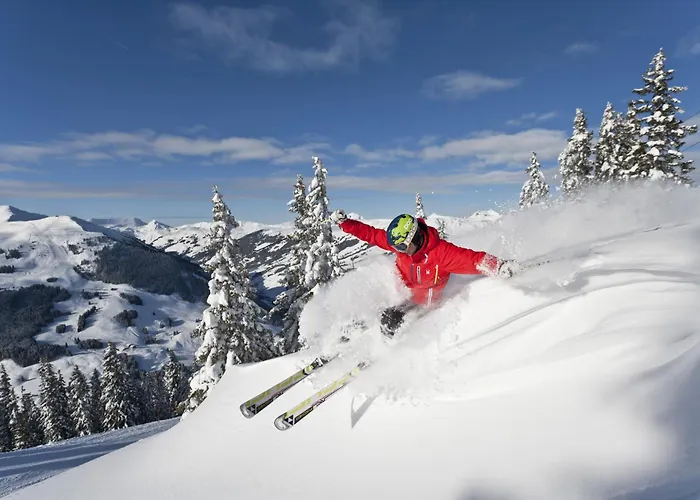 Guest house Haus Riedlsperger 3*